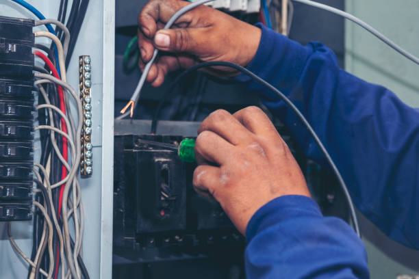 Best Licensed Electrician  in Plainview, MN