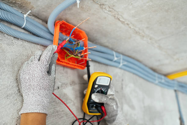 Best Commercial Electrician Services  in Plainview, MN